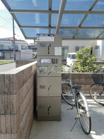 11/15 その他画像