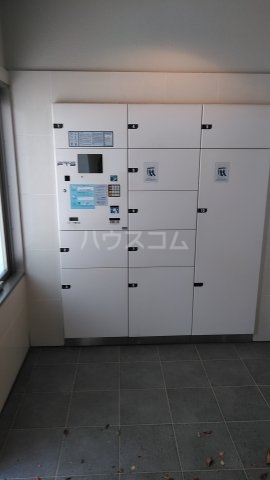 20/30 その他画像