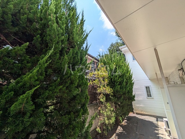 21/30 その他画像