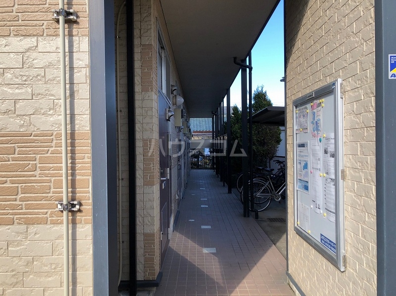 11/22 その他画像