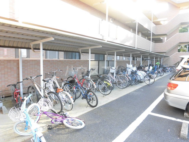 20/30 その他画像