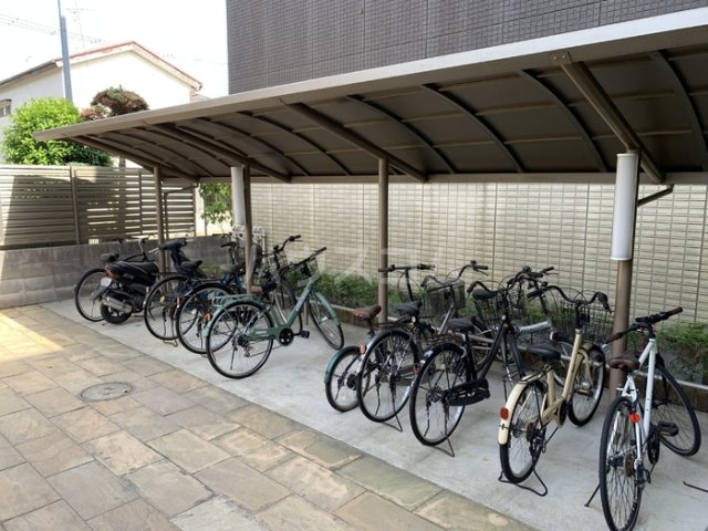 3/16 その他画像