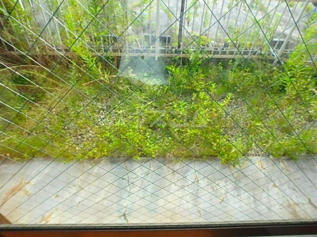 17/28 その他画像