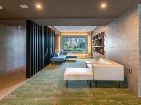 13/19 その他画像