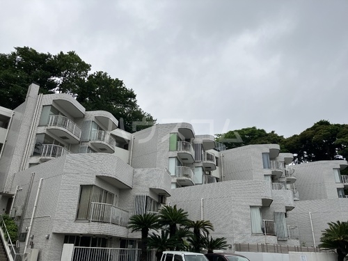 15/17 その他画像