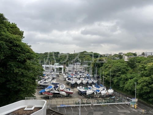 11/17 その他画像