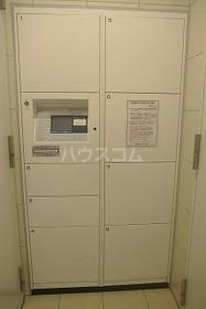 17/25 その他画像