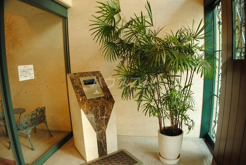 4/12 その他画像