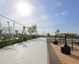 6/10 その他画像