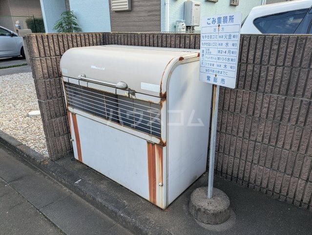 11/15 その他画像