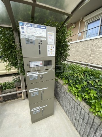 21/24 その他画像