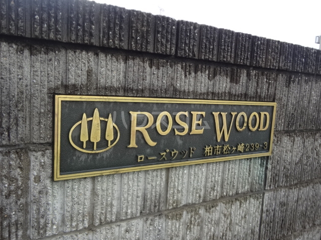 19/23 その他画像