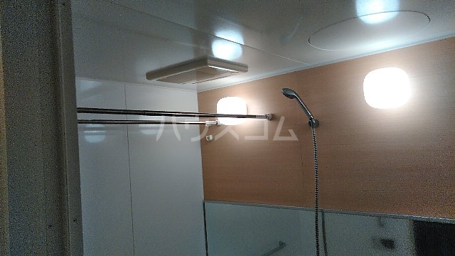 20/30 その他画像