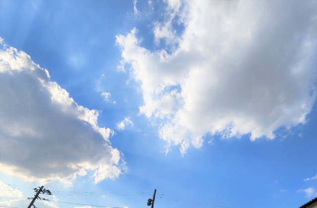 14/28 その他画像