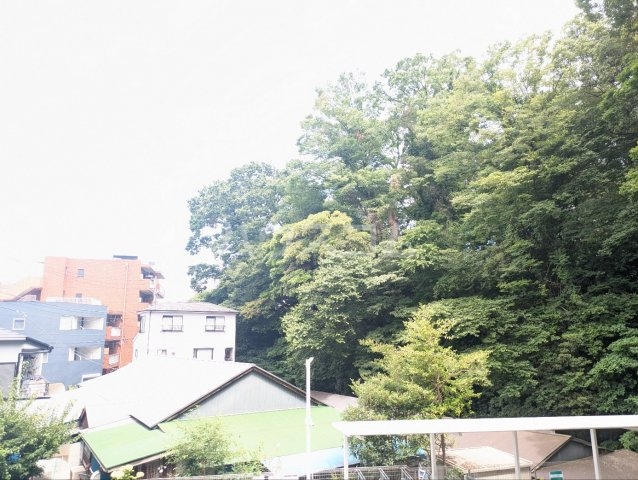 20/30 その他画像