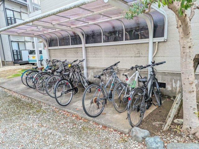 その他画像