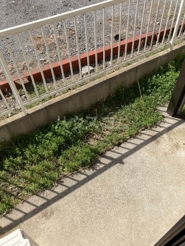 17/25 その他画像