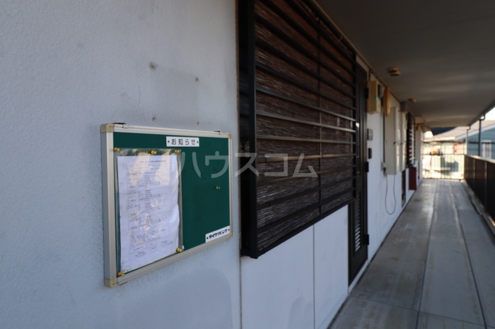 17/19 その他画像