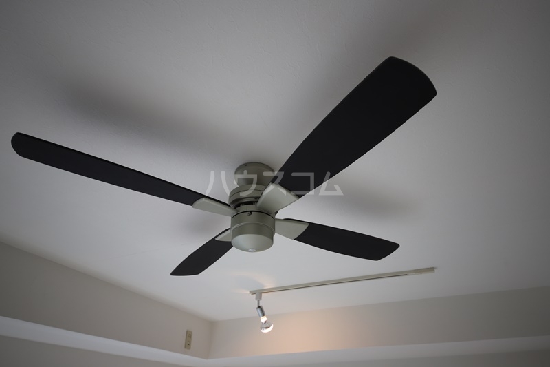 29/30 その他画像