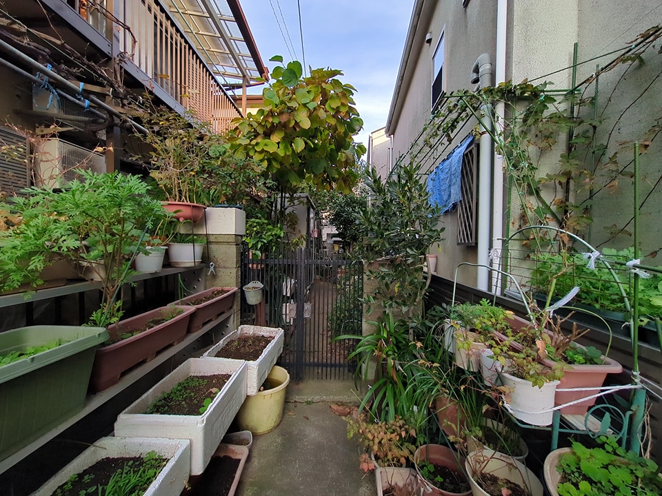 26/28 その他画像