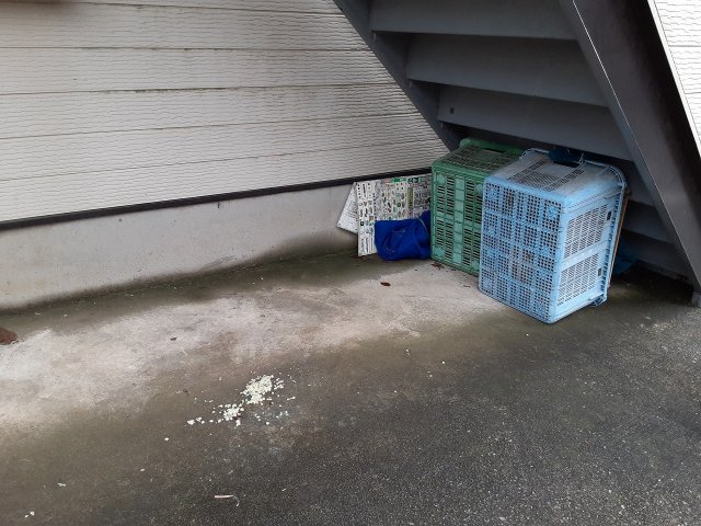 19/23 その他画像