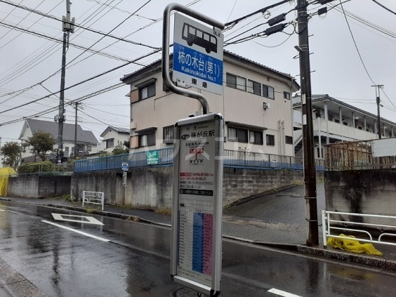 3/14 駐車場