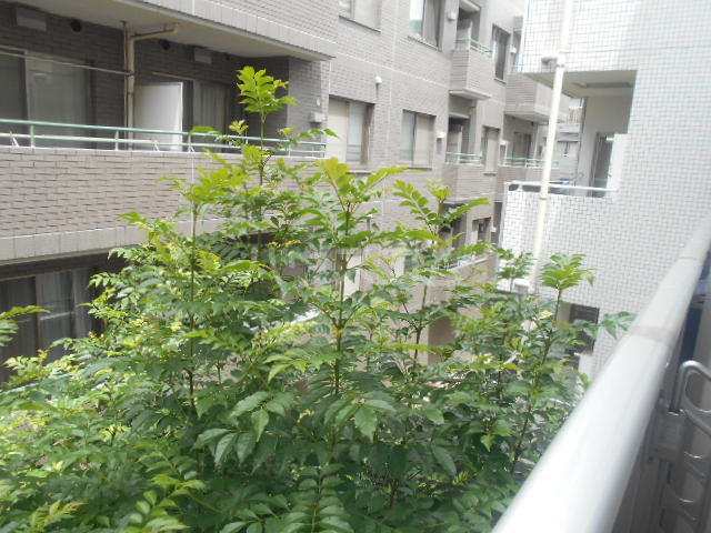 14/28 その他画像