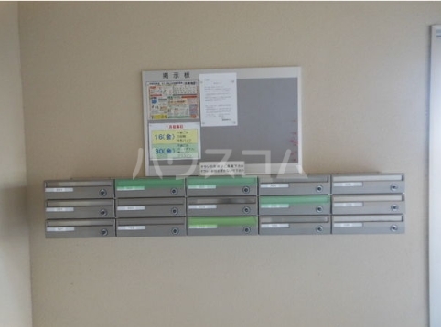 15/29 その他画像