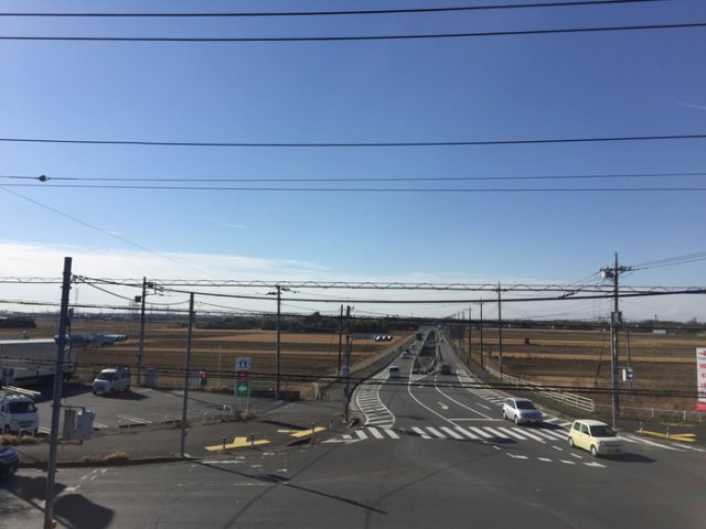 15/19 その他画像