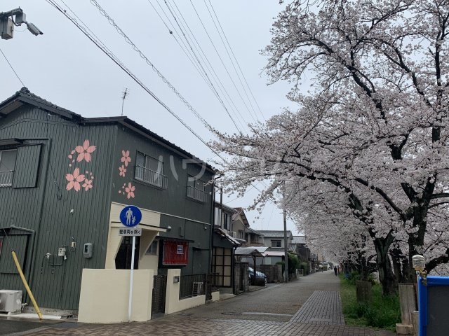 19/30 その他画像