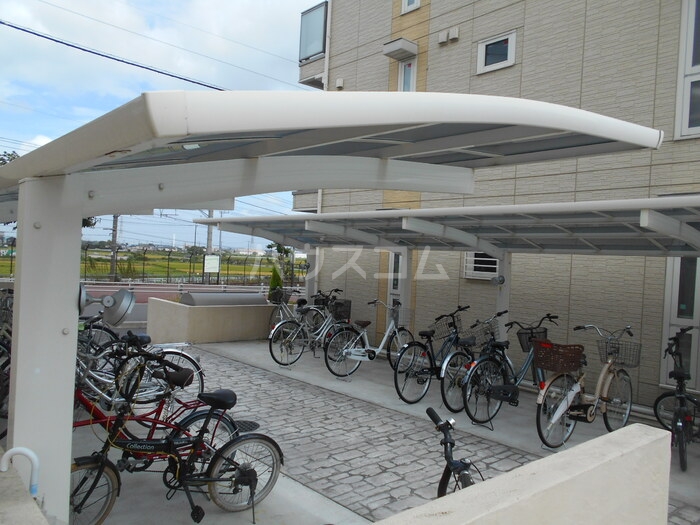 20/30 その他画像