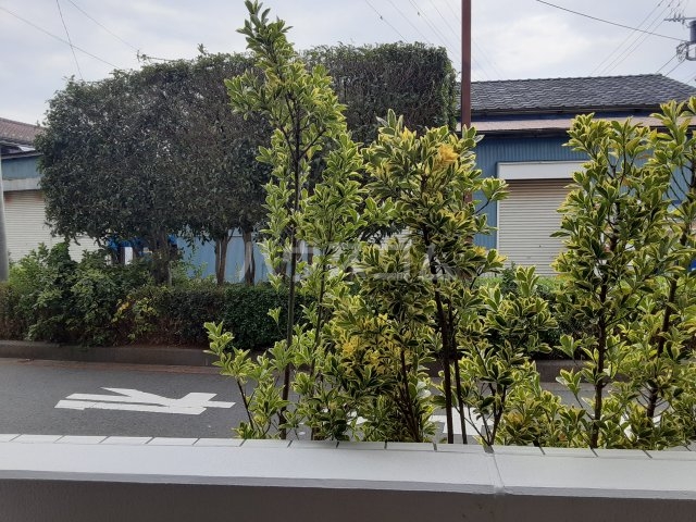 25/30 その他画像