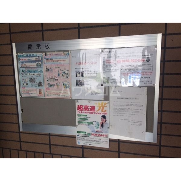 6/13 その他画像