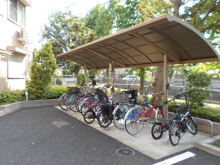 20/30 その他画像