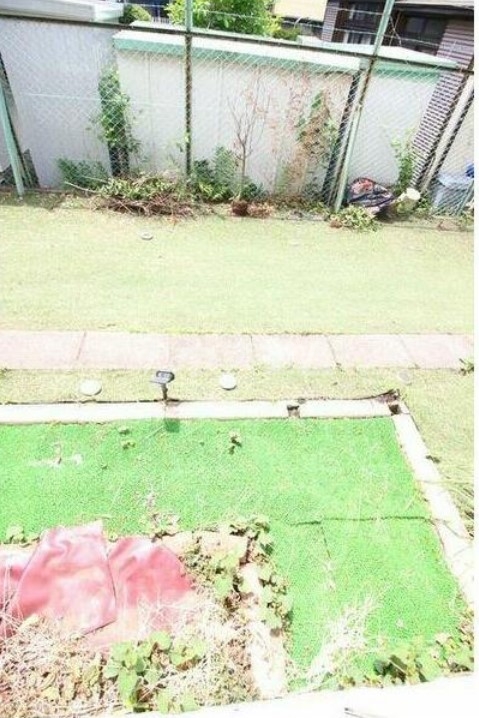 19/29 その他画像