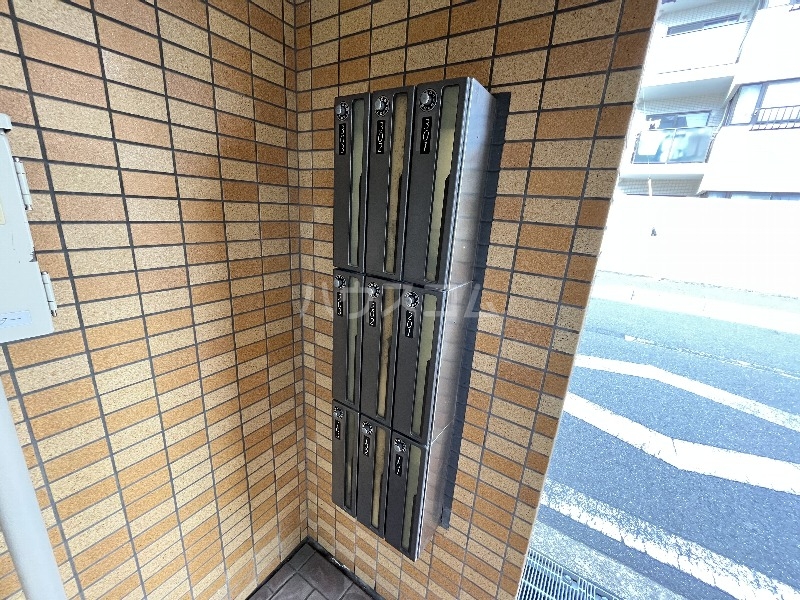 25/30 その他画像