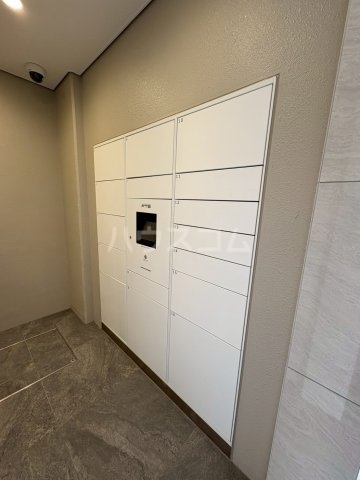 20/30 その他画像