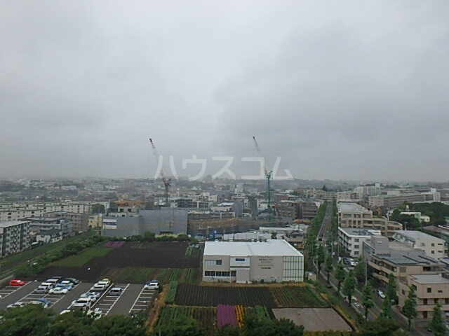 14/25 その他画像