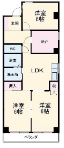 丹羽ハイツの間取り