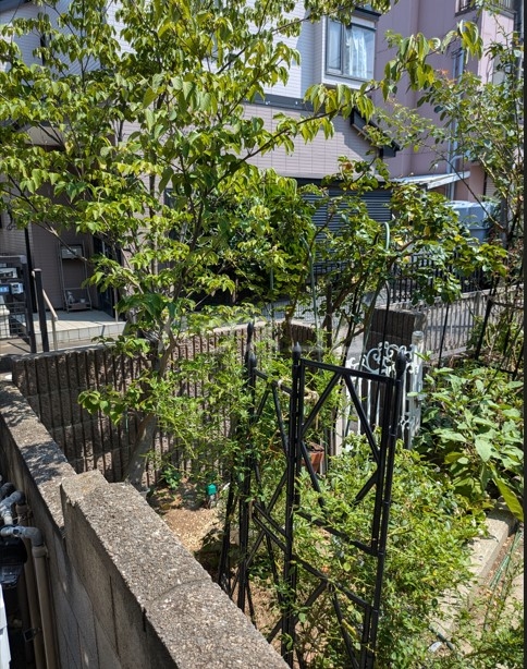 14/17 その他画像