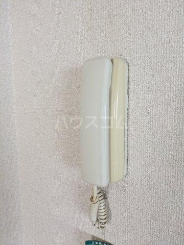 15/17 その他画像