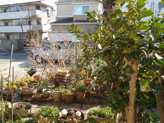 12/17 その他画像