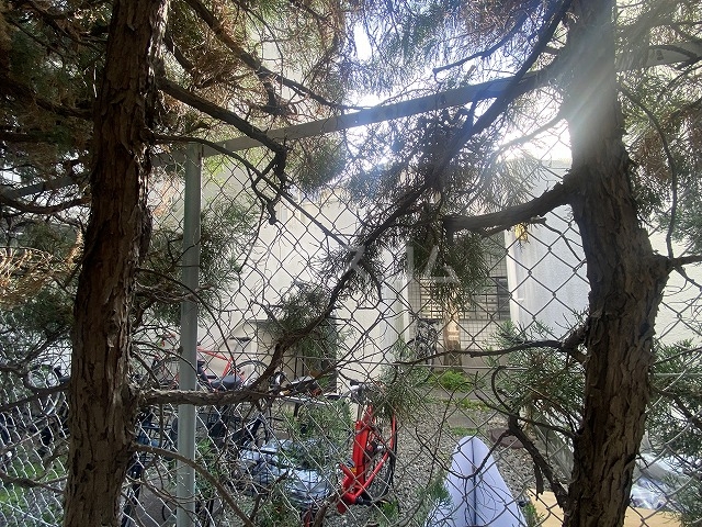 16/24 その他画像