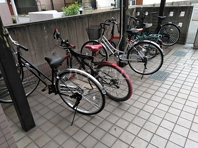 19/29 その他画像