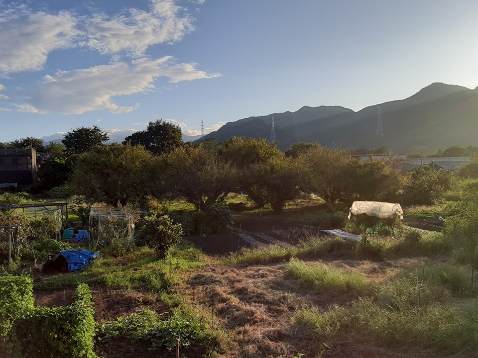 14/24 その他画像