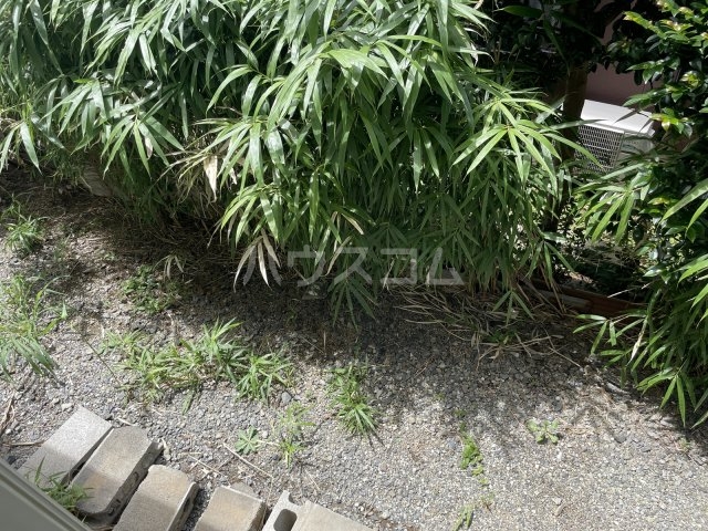 21/26 その他画像