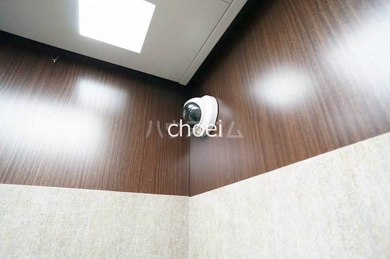 12/21 その他画像