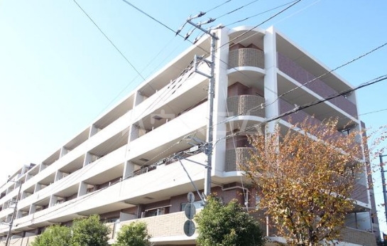 11/13 その他画像