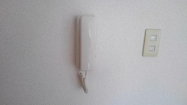 19/29 その他画像