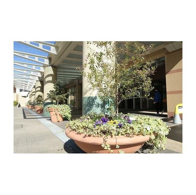 19/28 その他画像